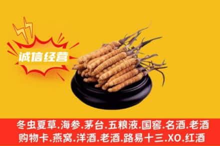 阿坝县回收冬虫夏草
